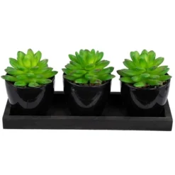 Northlight Mini Artificial Potted Succulents With Wood Planter - 5" - Set Of 3 10 Northlight Mini Artificial Potted Succulents With Wood Planter - 5" - Set Of 3 -Artificial Flowers Sale GUEST 0b740f21 e321 428b 8c81 71ecef4764f8