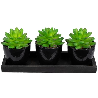 Northlight Mini Artificial Potted Succulents With Wood Planter - 5" - Set Of 3 6 Northlight Mini Artificial Potted Succulents With Wood Planter - 5" - Set Of 3 - Image 4