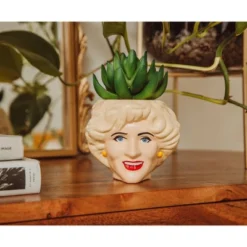 Silver Buffalo The Golden Girls Rose 3.25-Inch Ceramic Mini Planter With Artificial Succulent 11 Silver Buffalo The Golden Girls Rose 3.25-Inch Ceramic Mini Planter With Artificial Succulent -Artificial Flowers Sale GUEST 0c6be112 2974 4ec7 a753 593f93d77baa