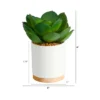 Nearly Natural 6-in Succulent Artificial Plant In White Ceramic Planter 1 Nearly Natural 6-in Succulent Artificial Plant In White Ceramic Planter -Artificial Flowers Sale GUEST 0eac73e1 9042 4dd5 8ed7 6cb621f38161