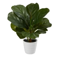 Nearly Natural 11-in Fiddle Leaf Artificial Plant In White Planter (Real Touch) 9 Nearly Natural 11-in Fiddle Leaf Artificial Plant In White Planter (Real Touch) -Artificial Flowers Sale GUEST 0ef42f67 4101 4987 8c76 eac04408039a