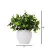 Nearly Natural 11-in Artificial Boxwood Plant With Decorative Planter 1 Nearly Natural 11-in Artificial Boxwood Plant With Decorative Planter -Artificial Flowers Sale GUEST 107c4def e31e 4a5a 99f9 2ce2fae16de6