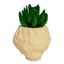 Silver Buffalo The Golden Girls Rose 3.25-Inch Ceramic Mini Planter With Artificial Succulent 8 Silver Buffalo The Golden Girls Rose 3.25-Inch Ceramic Mini Planter With Artificial Succulent -Artificial Flowers Sale GUEST 163b912f c421 42ec 8766 21be5282e4ac