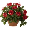 Nearly Natural Hibiscus With Clay Planter -Artificial Flowers Sale GUEST 16aee8b8 a461 4871 9c18 52d30beb94ca
