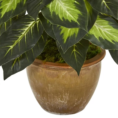 18" X 16" Artificial Dieffenbachia Plant In Ceramic Planter - Nearly Natural 4 18" X 16" Artificial Dieffenbachia Plant In Ceramic Planter - Nearly Natural - Image 2