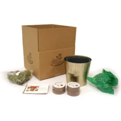 Amaryllis Kit Red Lion Bulb With Iron Brass Fluted Large Planter - Van Zyverden 7 Amaryllis Kit Red Lion Bulb With Iron Brass Fluted Large Planter - Van Zyverden -Artificial Flowers Sale GUEST 1a829df3 fedd 4979 99c4 45172f65ff76