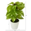 Nearly Natural 9-in Pothos Artificial Plant In White Planter (Real Touch) -Artificial Flowers Sale GUEST 1b08887b 7d96 482e a367 a8ea0edcac66