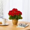 11" Indoor/Outdoor Geranium Artificial Plant In Ceramic Planter Red - Nearly Natural -Artificial Flowers Sale GUEST 219a92fa 793c 4ec0 a0d5 bb3213d78fe1