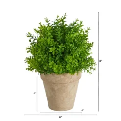 Nearly Natural 8-in Boxwood Artificial Plant In Decorative Planter