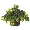 Nearly Natural 17-in Pothos W/Coiled Rope Planter Silk Plant 2 Nearly Natural 17-in Pothos W/Coiled Rope Planter Silk Plant -Artificial Flowers Sale GUEST 2ff22448 26c9 406c 914b c950886d720b