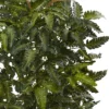 33" Bracken Fern With Decorative Planter - Nearly Natural 2 33" Bracken Fern With Decorative Planter - Nearly Natural -Artificial Flowers Sale GUEST 32dedc2d c911 4e86 a9c2 2446edfd62aa