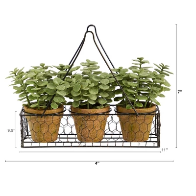 Nearly Natural 7-in Mini Jade Garden Artificial Plant In Hanging Planter 3 Nearly Natural 7-in Mini Jade Garden Artificial Plant In Hanging Planter