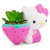 Silver Buffalo Sanrio Hello Kitty Strawberry 5-Inch Planter With Artificial Succulent -Artificial Flowers Sale GUEST 44fe388f 2286 4934 bea3 7a279b682a18