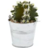 Juvale 4 Pack Artificial Succulents Planter, 4.7 "to 6.5" Green Fake Cactus Plants With Iron Bucket 1 Juvale 4 Pack Artificial Succulents Planter, 4.7 "to 6.5" Green Fake Cactus Plants With Iron Bucket -Artificial Flowers Sale GUEST 4690a960 e713 4b41 a48e a02f2f5f7e93