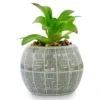 Silver Buffalo Star Wars Death Star 3-Inch Ceramic Mini Planter With Artificial Succulent 1 Silver Buffalo Star Wars Death Star 3-Inch Ceramic Mini Planter With Artificial Succulent -Artificial Flowers Sale GUEST 4a658711 f274 404f a891 6247cfa5532c