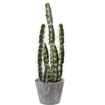 Nearly Natural Decorative Cactus Garden With Cement Planter 3 Nearly Natural Decorative Cactus Garden With Cement Planter
