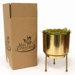 7ct Narcissus Paperwhite Inbal Preplanted Bulbs With Brass Finish Iron Planter And Stand - Van Zyverden -Artificial Flowers Sale GUEST 5457c0fb fd81 43fd bd43 23ac6fe322cb