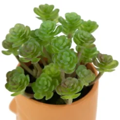 Northlight 5.5" Mini Artificial Succulent In Face Planter Pot 11 Northlight 5.5" Mini Artificial Succulent In Face Planter Pot -Artificial Flowers Sale GUEST 55a0520b 8ac1 4bbc 9eb9 fa86aa194d20