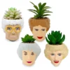 Silver Buffalo The Golden Girls Face Mini Ceramic Planter With Faux Succulent | Set Of 4 1 Silver Buffalo The Golden Girls Face Mini Ceramic Planter With Faux Succulent | Set Of 4 -Artificial Flowers Sale GUEST 56a589f3 cfd0 445e ab95 40c295b96404