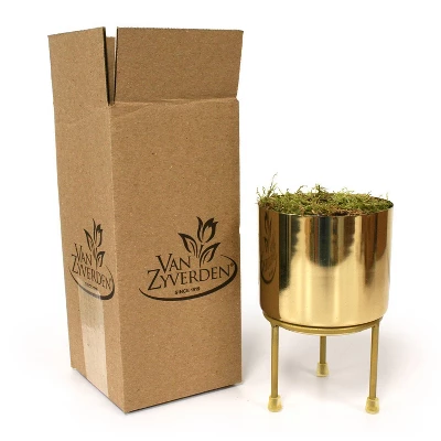 Hyacinth Pink Pearl PreChilled Bulb With Iron Brass Finish Planter And Stand - Van Zyverden 3 Hyacinth Pink Pearl PreChilled Bulb With Iron Brass Finish Planter And Stand - Van Zyverden