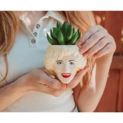 Silver Buffalo The Golden Girls Rose 3.25-Inch Ceramic Mini Planter With Artificial Succulent 9 Silver Buffalo The Golden Girls Rose 3.25-Inch Ceramic Mini Planter With Artificial Succulent -Artificial Flowers Sale GUEST 59daa2ec cff2 4ada a4e8 68ca83052c11