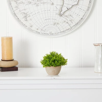 Nearly Natural 5-in Boxwood Artificial Plant In Decorative Planter 4 Nearly Natural 5-in Boxwood Artificial Plant In Decorative Planter - Image 2