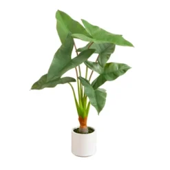 Nearly Natural 3.5-ft Artificial Arrowhead Philodendron In White Decorative Planter 9 Nearly Natural 3.5-ft Artificial Arrowhead Philodendron In White Decorative Planter -Artificial Flowers Sale GUEST 5b6e8d4b 2aa9 46a0 9246 612381bc00c2