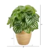 Nearly Natural 11-in Watermelon Peperomia Artificial Plant In Ceramic Planter (Real Touch) -Artificial Flowers Sale GUEST 5d755e25 a6de 4472 a47b 22bfb2726a72