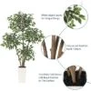 6ft Artificial Ficus Tree,Tall Faux Floor Plant With White Tall Planter White-Edged Leaves,Faux Greenery Tree For Garden Decor