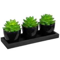 Northlight Mini Artificial Potted Succulents With Wood Planter - 5" - Set Of 3 9 Northlight Mini Artificial Potted Succulents With Wood Planter - 5" - Set Of 3 -Artificial Flowers Sale GUEST 6715a7b8 3050 436a a2b3 fe656052e9f1