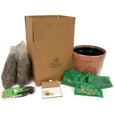 Van Zyverden 41ct Bulbs Affinity Multicolored Spring Blooming Patio Planter Set 6 Van Zyverden 41ct Bulbs Affinity Multicolored Spring Blooming Patio Planter Set - Image 4