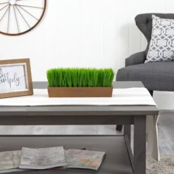 Nearly Natural 12-in Grass Artificial Plant In Decorative Planter 8 Nearly Natural 12-in Grass Artificial Plant In Decorative Planter -Artificial Flowers Sale GUEST 6e673c43 6d5c 4a6e 88f3 6d43c5c8a3f3