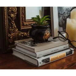 Silver Buffalo Harry Potter Hogwarts Cauldron Ceramic Mini Planter With Artificial Succulent 10 Silver Buffalo Harry Potter Hogwarts Cauldron Ceramic Mini Planter With Artificial Succulent -Artificial Flowers Sale GUEST 6ed8bc26 355e 4c05 a60e 9091e65a9979