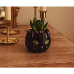 Silver Buffalo Disney Hocus Pocus "Binx Is My Boo" Ceramic Planter With Artificial Succulent -Artificial Flowers Sale GUEST 73611c53 b994 41b3 882a d17fa28f7ba4