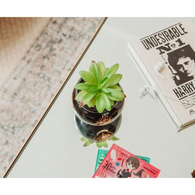 Silver Buffalo Harry Potter Hogwarts Cauldron Ceramic Mini Planter With Artificial Succulent 7 Silver Buffalo Harry Potter Hogwarts Cauldron Ceramic Mini Planter With Artificial Succulent - Image 5