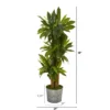 Nearly Natural 58-in Corn Stalk Dracaena Artificial Plant In Black Embossed Tin Planter (Real Touch) 2 Nearly Natural 58-in Corn Stalk Dracaena Artificial Plant In Black Embossed Tin Planter (Real Touch) -Artificial Flowers Sale GUEST 7dd57289 2eba 44e1 9f38 5eb2eb36665b