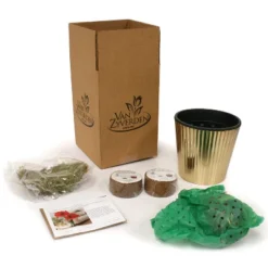 Amaryllis Pink Kit Minerva With Fluted Iron Faux Brass Planter - Van Zyverden -Artificial Flowers Sale GUEST 8237be2b a7a5 4a9c afd1 1c00e129b095 3