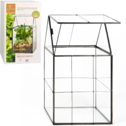 D'Eco Glass Geometric Terrarium For Succulent & Air Plant-Hinged Roof Shaped For Indoor Gardening Decor- Create Your Own Centerpiece (Large 5"x6"x11")