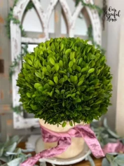 Nearly Natural 15-in Boxwood Ball Preserved Plant In Planter 5 Nearly Natural 15-in Boxwood Ball Preserved Plant In Planter -Artificial Flowers Sale GUEST 895426bc 2e49 48df 96d2 acea7908bd60