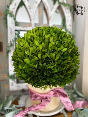 Nearly Natural 15-in Boxwood Ball Preserved Plant In Planter 4 Nearly Natural 15-in Boxwood Ball Preserved Plant In Planter - Image 2