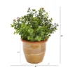 Nearly Natural 10-in Eucalyptus And Sedum Succulent Artificial Plant In Ceramic Planter -Artificial Flowers Sale GUEST 8bcb324f 6813 465b 80d9 5318062445a9