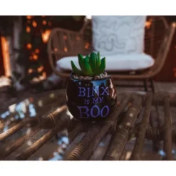 Silver Buffalo Disney Hocus Pocus "Binx Is My Boo" Ceramic Planter With Artificial Succulent -Artificial Flowers Sale GUEST 8befd341 1d34 4d8d 828c 558261532501