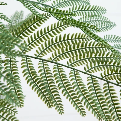 Nearly Natural 6-ft Artificial Jacaranda Tree In White Decorative Planter 4 Nearly Natural 6-ft Artificial Jacaranda Tree In White Decorative Planter - Image 2