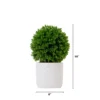 Nearly Natural 10-in Artificial Boxwood Topiary Plant With Decorative Planter -Artificial Flowers Sale GUEST 8f366db4 5c58 48da 9f77 14549afe3332