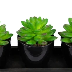 Northlight Mini Artificial Potted Succulents With Wood Planter - 5" - Set Of 3 11 Northlight Mini Artificial Potted Succulents With Wood Planter - 5" - Set Of 3 -Artificial Flowers Sale GUEST 90905cf3 3176 4ed5 99a9 d98fb835e02f