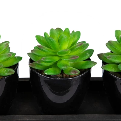 Northlight Mini Artificial Potted Succulents With Wood Planter - 5" - Set Of 3 7 Northlight Mini Artificial Potted Succulents With Wood Planter - 5" - Set Of 3 - Image 5