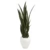 Nearly Natural 51” Sansevieria Artificial Plant In White Planter 2 Nearly Natural 51” Sansevieria Artificial Plant In White Planter -Artificial Flowers Sale GUEST 94d2885d 537d 4fd4 b2a1 a0bedd26803e