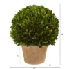 Nearly Natural 15-in Boxwood Ball Preserved Plant In Planter 1 Nearly Natural 15-in Boxwood Ball Preserved Plant In Planter -Artificial Flowers Sale GUEST 953215b5 ec0c 4cfd b59a 2a50d15d65de