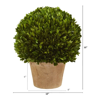 Nearly Natural 15-in Boxwood Ball Preserved Plant In Planter 3 Nearly Natural 15-in Boxwood Ball Preserved Plant In Planter