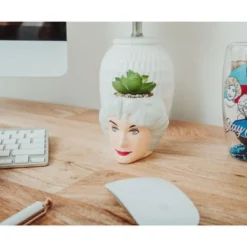 Silver Buffalo The Golden Girls Dorothy 3-Inch Ceramic Mini Planter With Artificial Succulent 9 Silver Buffalo The Golden Girls Dorothy 3-Inch Ceramic Mini Planter With Artificial Succulent -Artificial Flowers Sale GUEST 9bf02ea4 3632 411d 8b68 3afc68a710aa